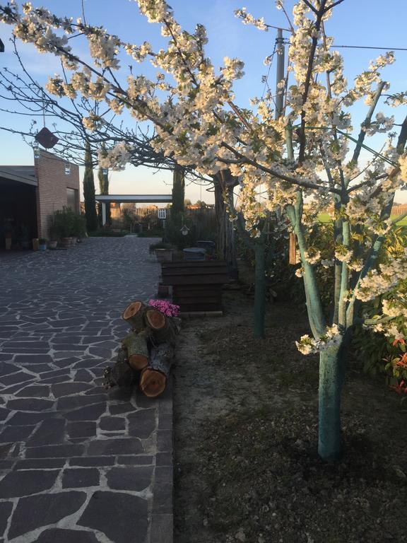 Dolce Casetta Faenza Exteriér fotografie