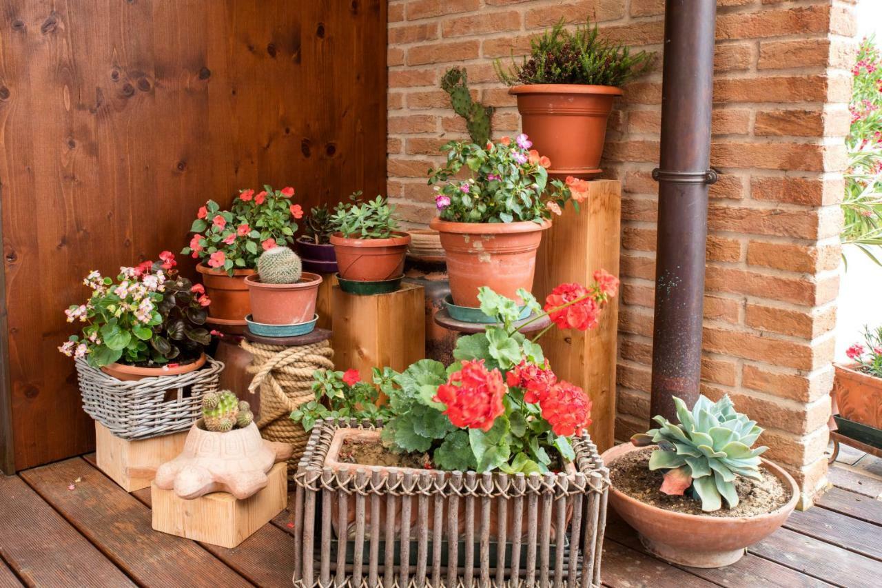 Dolce Casetta Faenza Exteriér fotografie